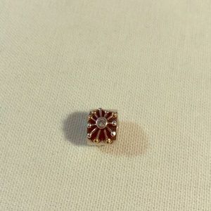 Pandora Charm